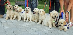 a2IMG_6147_bearbeitet-1