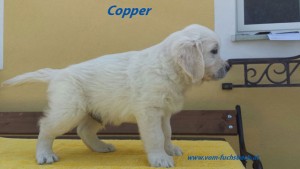 IMG-20150719-WA0005_bearbei