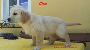 IMG-20150719-WA0006_bearbei